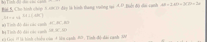 Tính độ dài các cạnh 90n
Bài 5. Cho hình chóp S. ABCD đáy là hình thang vuông tại 4,D .Biết độ dài cạnh AB=2AD=2CD=2a
SA=a và SA⊥ (ABC)
a) Tính độ dài các cạnh 4C, BC, BD
b) Tính độ dài các cạnh SB, SC, SD
c) Gọi H là hình chiếu của 4 lên cạnh BD. Tính độ dài cạnh SH