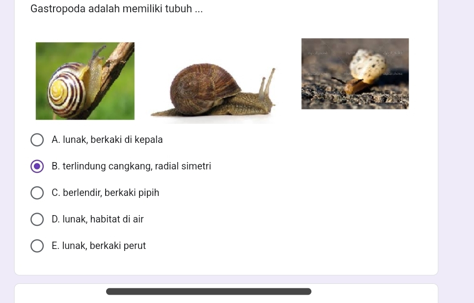 Gastropoda adalah memiliki tubuh ...
A. lunak, berkaki di kepala
B. terlindung cangkang, radial simetri
C. berlendir, berkaki pipih
D. lunak, habitat di air
E. lunak, berkaki perut