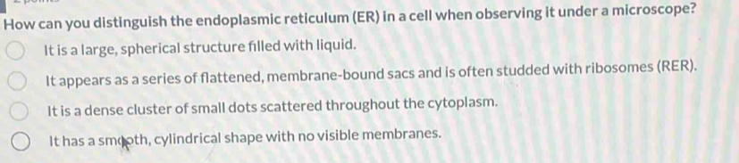 How can you distinguish the endoplasmic reticulum (ER) in a cell when observing it under a microscope?
It is a large, spherical structure flled with liquid.
It appears as a series of flattened, membrane-bound sacs and is often studded with ribosomes (RER).
It is a dense cluster of small dots scattered throughout the cytoplasm.
It has a smooth, cylindrical shape with no visible membranes.