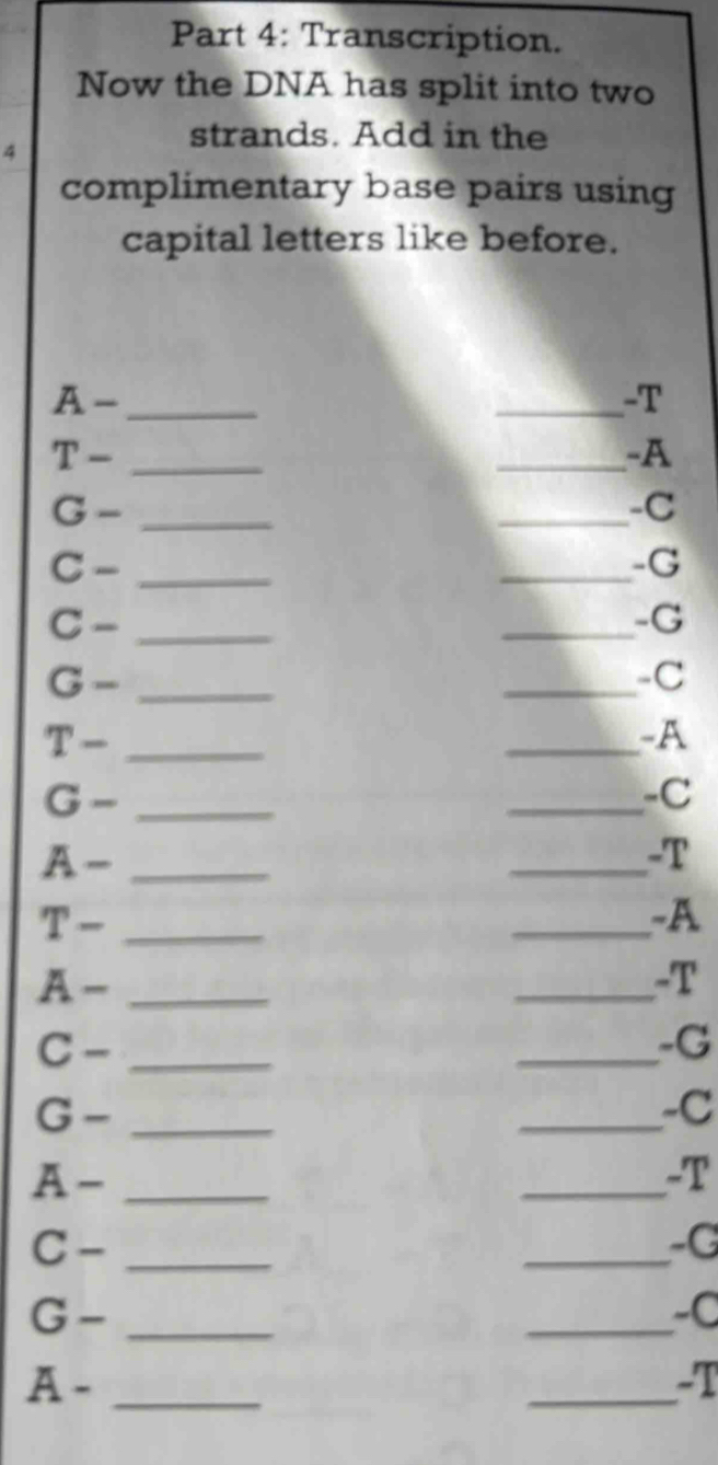 Transcription. 
Now the DNA has split into two
4
strands. Add in the 
complimentary base pairs using 
capital letters like before. 
_ A- 
_-T 
_ T- 
_-A 
_ G- 
_-C 
_ C- 
_-G
C- _ 
_-G
G- _ 
_-C 
_ T-
_-A 
_ G-
_-C
A- _ 
_-T 
T- _ 
_-A 
_ A- 
_-T 
_ C-
_-G 
_ G-
_-C
A- _ 
_-T
C- _ 
_-G
G- _ 
_ 
-C 
_ A- 
_ 
-T