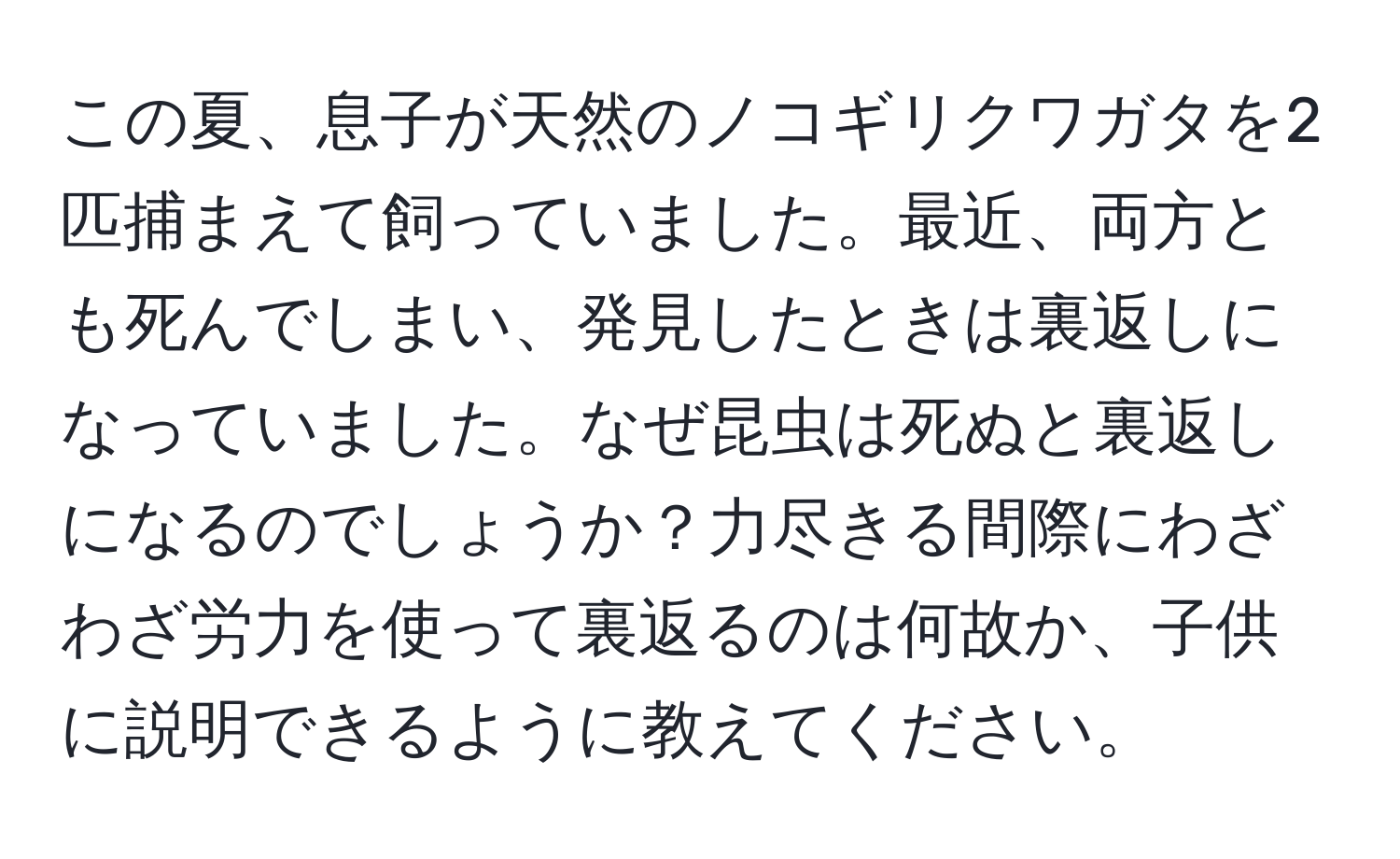 この夏、息子が天然のノコギリクワガタを2匹捕まえて飼っていました。最近、両方とも死んでしまい、発見したときは裏返しになっていました。なぜ昆虫は死ぬと裏返しになるのでしょうか？力尽きる間際にわざわざ労力を使って裏返るのは何故か、子供に説明できるように教えてください。