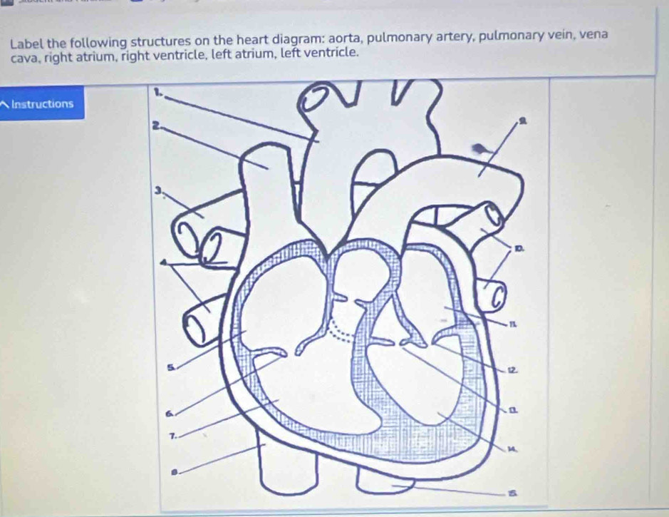Solved: Label the following structures on the heart diagram: aorta ...