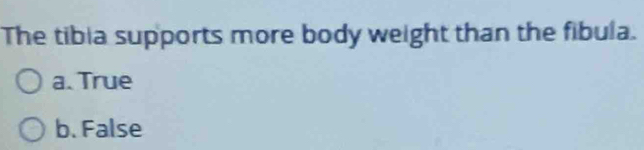 The tibia supports more body weight than the fibula.
a. True
b. False