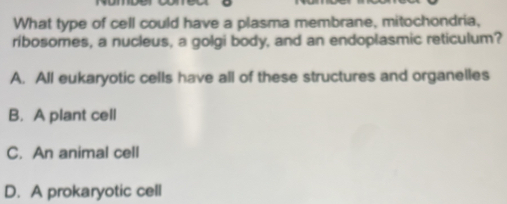 What type of cell could have a plasma membrane, mitochondria,
ribosomes, a nucleus, a golgi body, and an endoplasmic reticulum?
A. All eukaryotic cells have all of these structures and organelles
B. A plant cell
C. An animal cell
D. A prokaryotic cell