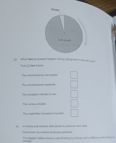 Mitosis
Cell growth
(d) Which two processes happen during cell growth in the cell cycle?
Tick (√) two boxes.
The chromosomes are copied
The chromosomes separate
The cytoplasm divides in two
The nucleus divides
The organelles increase in number
(e) In mitosis and meiosis cells divide to produce new cells.
Cell division by meiosis produces gametes.
meiosis. The diagram below shows a cell dividing by mitosis and a different cell dividing by