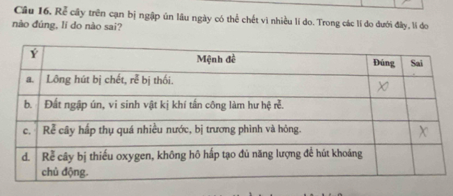 Rễ cây trên cạn bị ngập ún lâu ngày có thể chết vì nhiều lí do. Trong các lí do dưới đây, lí do 
nào đúng, lí do nào sai?