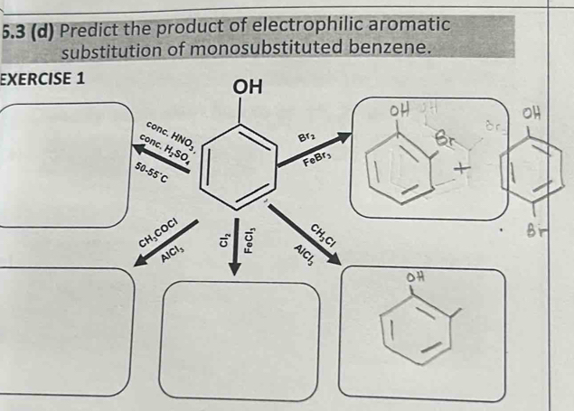 5.3 (d) Predict the product of electrophilic aromatic
substitution of monosubstituted benzene.
EXERCISE 1