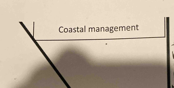 Coastal management