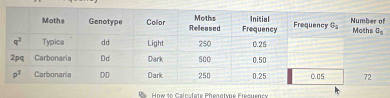 How to Calculate Phenotyne Freguency