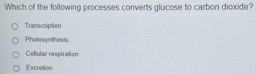 Which of the following processes converts glucose to carbon dioxide?
Transcription
Photosynthesis
Cellular respiration
Excretion