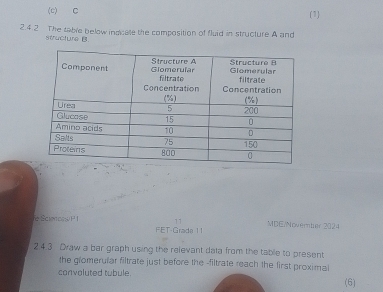 (1)
2.4.2 The table below indicate the composition of fluid in structure A and
structure B.
11 MDE/Noverntuir 2024
fe ScienosP 1 FET-Grade 11
2.4.3. Draw a bar graph using the relevant data from the table to present
the glomerular filtrate just before the -filtrate reach the first proximal
convoluted tubule. (6)