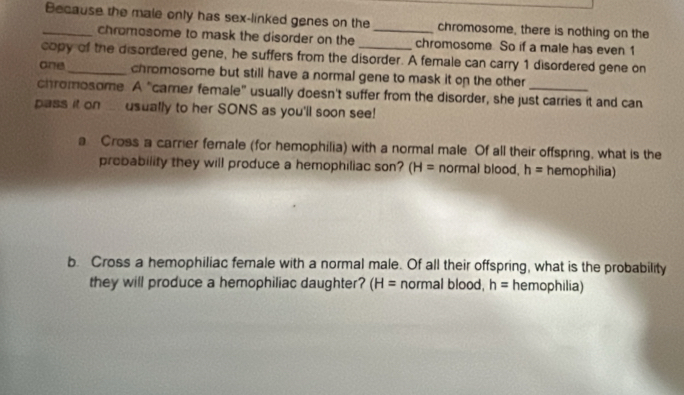 Because the male only has sex-linked genes on the _chromosome, there is nothing on the
chromosome to mask the disorder on the chromosome. So if a male has even 1
copy of the disordered gene, he suffers from the disorder. A female can carry 1 disordered gene on
one _chromosome but still have a normal gene to mask it on the other
chromosome. A "camer female" usually doesn't suffer from the disorder, she just carries it and can
pass it on .... usually to her SONS as you'll soon see!
a Cross a carrier female (for hemophilia) with a normal male Of all their offspring, what is the
probability they will produce a hemophiliac son? (H= normal blood, h= hemophilia)
b. Cross a hemophiliac female with a normal male. Of all their offspring, what is the probability
they will produce a hemophiliac daughter? (H= normal blood, h= hemophilia)