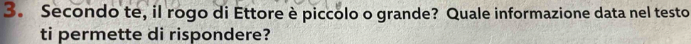 Secondo te, il rogo di Ettore è piccolo o grande? Quale informazione data nel testo 
ti permette di rispondere?