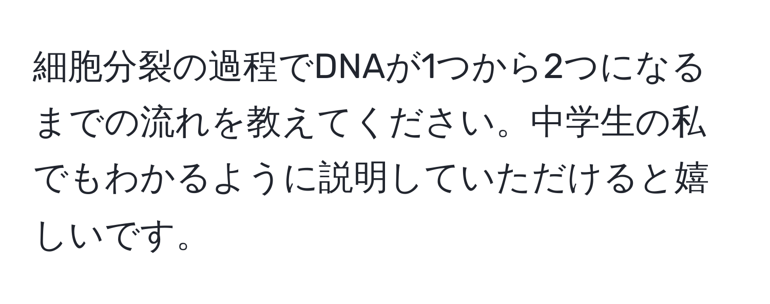 細胞分裂の過程でDNAが1つから2つになるまでの流れを教えてください。中学生の私でもわかるように説明していただけると嬉しいです。