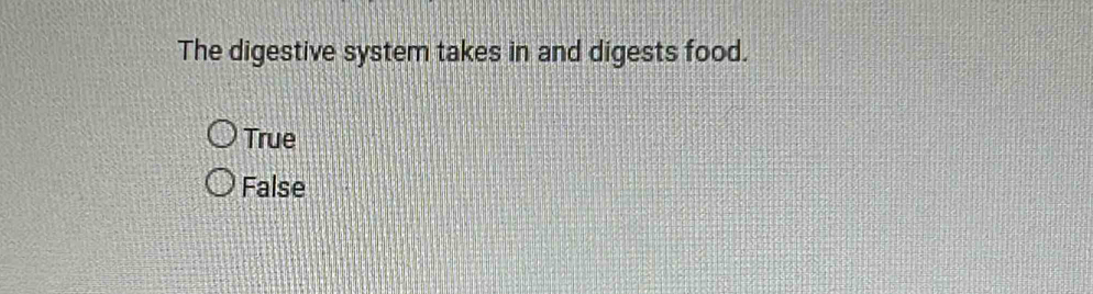 The digestive system takes in and digests food.
True
False