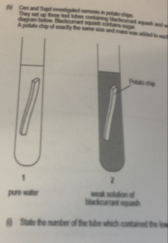 Ceri and Sajid investigated osmosis in potato chips. 
They set up three test tubes containing blackcurrant squash and w 
diagram below, Blackcurrant squash contains sugar. 
A potato chip of exactly the same size and mass was addeo ead 
1 
pure water 
blackcurrant squanh 
(i) State the number of the tube which contained the low