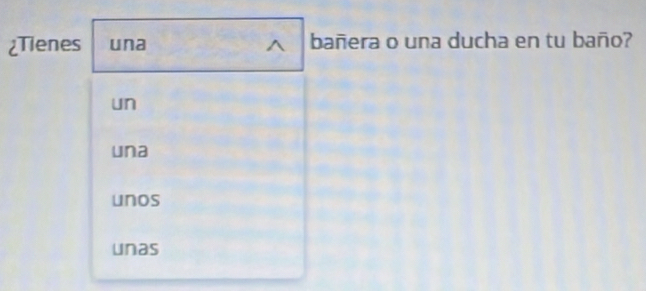 ¿Tienes una bañera o una ducha en tu baño?
un
una
unos
unas