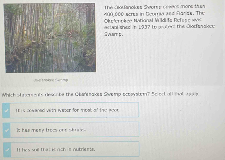 he Okefenokee Swamp covers more than
00,000 acres in Georgia and Florida. The
kefenokee National Wildlife Refuge was
stablished in 1937 to protect the Okefenokee
wamp.
Which statements describe the Okefenokee Swamp ecosystem? Select all that apply.
It is covered with water for most of the year.
It has many trees and shrubs.
It has soil that is rich in nutrients.