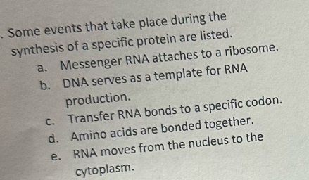 Some events that take place during the
synthesis of a specific protein are listed.
a. Messenger RNA attaches to a ribosome.
b. DNA serves as a template for RNA
production.
c. Transfer RNA bonds to a specific codon.
d. Amino acids are bonded together.
e. RNA moves from the nucleus to the
cytoplasm.