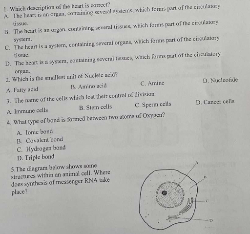 Which description of the heart is correct?
A. The heart is an organ, containing several systems, which forms part of the circulatory
tissue.
B. The heart is an organ, containing several tissues, which forms part of the circulatory
system.
C. The heart is a system, containing several organs, which forms part of the circulatory
tissue.
D. The heart is a system, containing several tissues, which forms part of the circulatory
organ.
2. Which is the smallest unit of Nucleic acid?
A. Fatty acid B. Amino acid C. Amine D. Nucleotide
3. The name of the cells which lost their control of division
A. Immune cells B. Stem cells C. Sperm cells D. Cancer cells
4. What type of bond is formed between two atoms of Oxygen?
A. Ionic bond
B. Covalent bond
C. Hydrogen bond
D. Triple bond
5.The diagram below shows some
structures within an animal cell. Where
does synthesis of messenger RNA take
place?