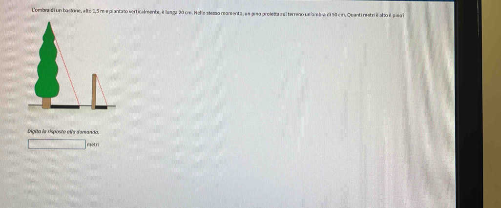 Lombra di un bastone, alto 1,5 m e piantato verticalmente, è lunga 20 cm. Nello stesso momento, un pino proietta sul terreno un'ombra di 50 cm. Quanti metri è alto il pino? 
Digita la risposta alla domanda. 
□ metri