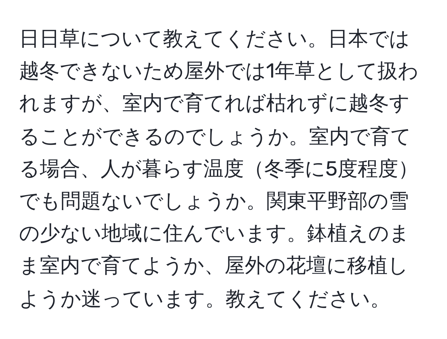 日日草について教えてください。日本では越冬できないため屋外では1年草として扱われますが、室内で育てれば枯れずに越冬することができるのでしょうか。室内で育てる場合、人が暮らす温度冬季に5度程度でも問題ないでしょうか。関東平野部の雪の少ない地域に住んでいます。鉢植えのまま室内で育てようか、屋外の花壇に移植しようか迷っています。教えてください。