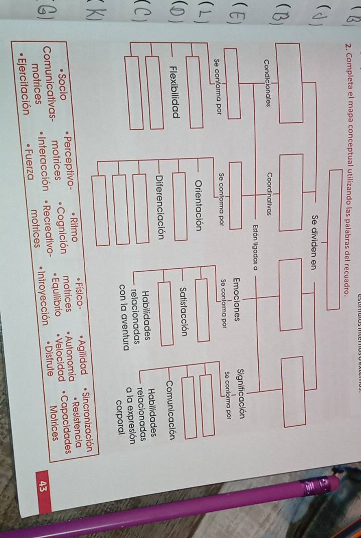 Completa el mapa conceptual utilizando las palabras del recuadro. 
( 
 
 
 
Físi 
• Socio • Perceptivo- Ritmo 
Comunicativas- motrices Cognición motrices Autonomía Resistencia 
motrices Interacción Recreativo- • Equilibrio Velocidad •Capacidades 
43 
Ejercitación 0 Fuerza motrices Introyección • Disfrute Motrices