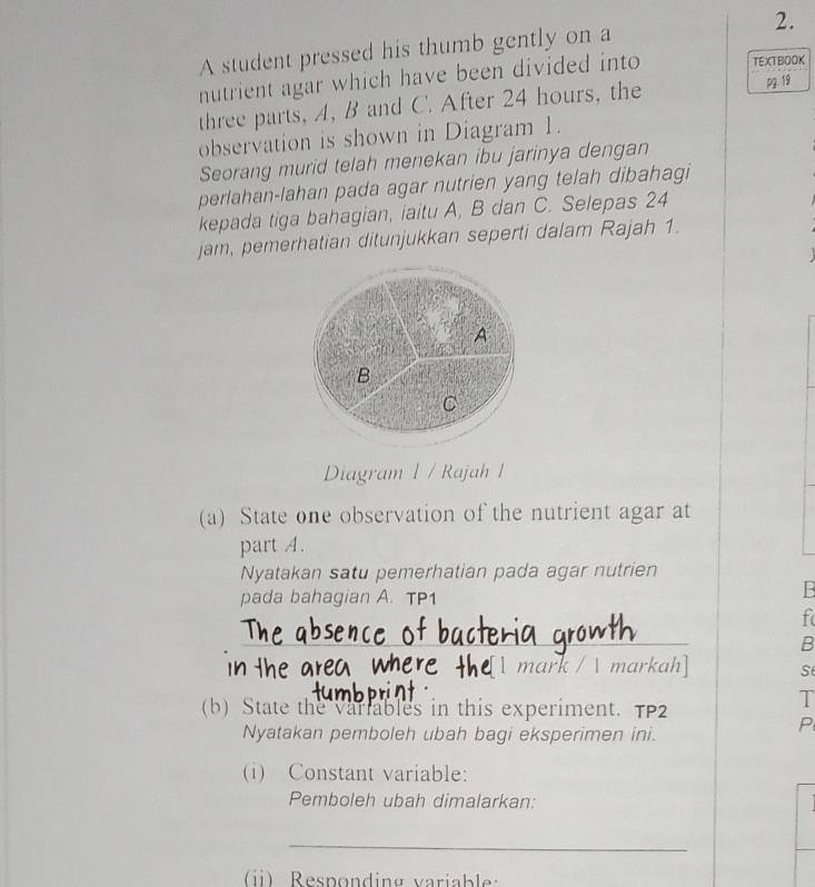 A student pressed his thumb gently on a 2. 
nutrient agar which have been divided into TEXTBOOK 
three parts, A, B and C. After 24 hours, the pg. 19
observation is shown in Diagram 1. 
Seorang murid telah menekan ibu jarinya dengan 
perlahan-lahan pada agar nutrien yang telah dibahagi 
kepada tiga bahagian, iaitu A, B dan C. Selepas 24
jam, pemerhatian ditunjukkan seperti dalam Rajah 1. 
A 
B 
C 
Diagram 1 / Rajah 1 
(a) State one observation of the nutrient agar at 
part A. 
Nyatakan satu pemerhatian pada agar nutrien 
pada bahagian A. TP1 
B 
f 
_ 
B 
[ mark /  markah] S 
(b) State the Variables in this experiment. TP2 
T 
Nyatakan pemboleh ubah bagi eksperimen ini. 
P 
(i) Constant variable: 
Pemboleh ubah dimalarkan: 
_ 
() Responding variable: