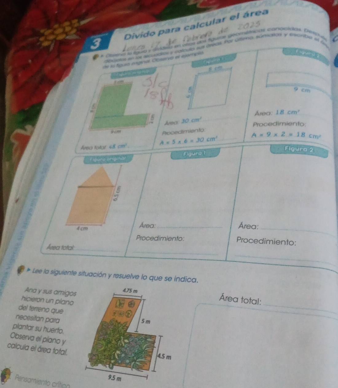 Divido para calcular el área 
* Casera la lgua y didára en años del figume gebmátnicas concicidan. Denc d 
dipúatos en los escuadios y cotculo sus áreak Por última, súmalos y tvariba el 
de la fíguia miginal Caserva el ejompio 
s cm
9 cm
5 
_ 
Area: 18cm^2
~ Area 30cm^2
Procedimiento:
9cm
Procedimiento. 
Área fotal 48. cm^2. A=5* 6=30cm^2 _ A=9* 2=18cm^2
Figura origmnal Figura 1 
Fíguro 2
4 cm
Área:_ Área:_ 
Procedimiento: Procedimiento: 
_ 
_ 
Área total:_ 
* Lee la siguiente situación y resuelve lo que se indica. 
Ana y sus amigos 
_ 
hicieron un plano 
Área total: 
del terreno que 
necesitan para 
plantar su huerfo. 
Observa el plano y 
calcula el área total. 
Pensamiento crítioo