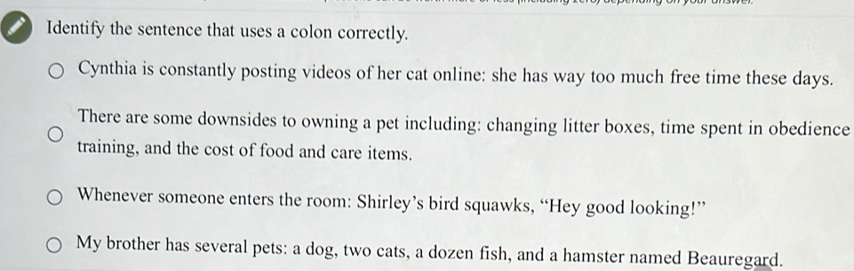 Identify the sentence that uses a colon correctly. 
Cynthia is constantly posting videos of her cat online: she has way too much free time these days. 
There are some downsides to owning a pet including: changing litter boxes, time spent in obedience 
training, and the cost of food and care items. 
Whenever someone enters the room: Shirley’s bird squawks, “Hey good looking!” 
My brother has several pets: a dog, two cats, a dozen fish, and a hamster named Beauregard.