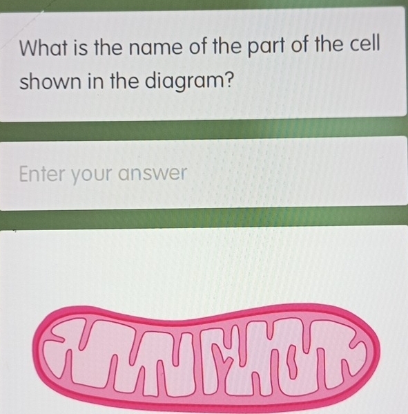 What is the name of the part of the cell 
shown in the diagram? 
Enter your answer 
GUMNTAUTY