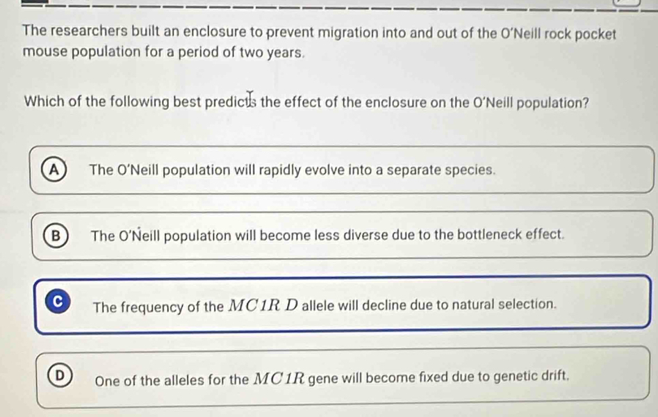 The researchers built an enclosure to prevent migration into and out of the O’Neill rock pocket
mouse population for a period of two years.
Which of the following best predicts the effect of the enclosure on the O'Neill population?
A The O’Neill population will rapidly evolve into a separate species.
B The O’Neill population will become less diverse due to the bottleneck effect.
c The frequency of the MC1R D allele will decline due to natural selection.
D One of the alleles for the MC1R gene will become fixed due to genetic drift.