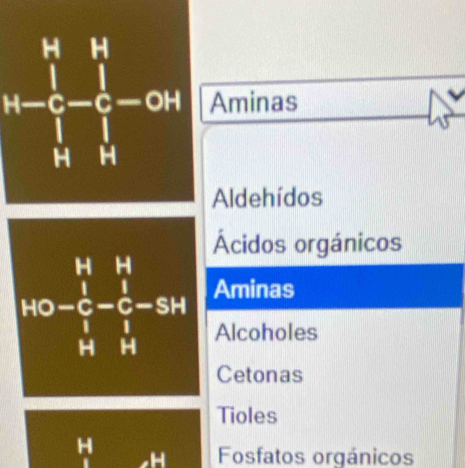 beginarrayr b_1&b_1^(□)-frac 1b_2-frac 1c_1-c_2=0.14 b_1&b_2endvmatrix Aminas
Aldehídos
Ácidos orgánicos
Aminas
Alcoholes
Cetonas
Tioles
Fosfatos orgánicos