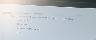 '' pie Choic'' ''Z posnes 
The total amount you owe to the credit card company 
Credit Limit 
Balance 
Minimum Payment 
APR