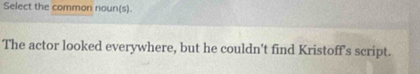 Select the common noun(s). 
The actor looked everywhere, but he couldn't find Kristoff's script.