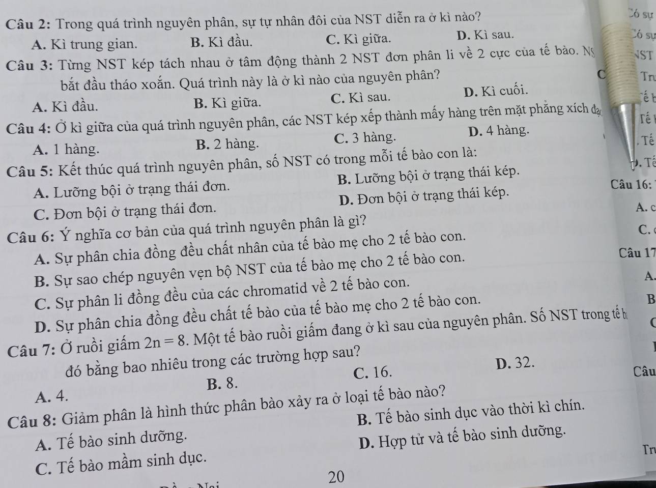 Trong quá trình nguyên phân, sự tự nhân đôi của NST diễn ra ở kì nào?
Có sự
A. Kì trung gian. B. Kì đầu. C. Kì giữa. D. Kì sau.
Có sự
Câu 3: Từng NST kép tách nhau ở tâm động thành 2 NST đơn phân li về 2 cực của tế bào. Ng NST
bắt đầu tháo xoắn. Quá trình này là ở kì nào của nguyên phân?
C Tn
A. Kì đầu. B. Kì giữa. C. Kì sau. D. Kì cuối.
é t
Câu 4: Ở kì giữa của quá trình nguyên phân, các NST kép xếp thành mấy hàng trên mặt phăng xích đạ
ré
D. 4 hàng.
A. 1 hàng. B. 2 hàng. C. 3 hàng. . Tế
Câu 5: Kết thúc quá trình nguyên phân, số NST có trong mỗi tế bào con là: Đ. Tể
A. Lưỡng bội ở trạng thái đơn. B. Lưỡng bội ở trạng thái kép.
Câu 16:
C. Đơn bội ở trạng thái đơn. D. Đơn bội ở trạng thái kép.
A. c
Câu 6: Ý nghĩa cơ bản của quá trình nguyên phân là gì?
A. Sự phân chia đồng đều chất nhân của tế bào mẹ cho 2 tế bào con.
C.
B. Sự sao chép nguyên vẹn bộ NST của tế bào mẹ cho 2 tế bào con.
Câu 17
C. Sự phân li đồng đều của các chromatid về 2 tế bào con.
A.
D. Sự phân chia đồng đều chất tế bào của tế bào mẹ cho 2 tế bào con.
B
Câu 7: Ở ruồi giấm 2n=8. Một tế bào ruồi giấm đang ở kì sau của nguyên phân. Số NST trong tế h
(
đó bằng bao nhiêu trong các trường hợp sau?
C. 16. D. 32.
Câu
A. 4. B. 8.
Câu 8: Giảm phân là hình thức phân bào xảy ra ở loại tế bào nào?
A. Tế bào sinh dưỡng. B. Tế bào sinh dục vào thời kì chín.
C. Tế bào mầm sinh dục. D. Hợp tử và tế bào sinh dưỡng.
Tn
20