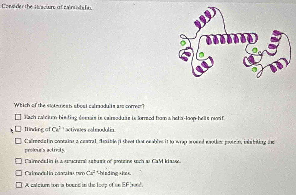 Consider the structure of calmodulin.
Which of the statements about calmodulin are correct?
Each calcium-binding domain in calmodulin is formed from a helix-loop-helix motif.
Binding of Ca^(2+) activates calmodulin.
Calmodulin contains a central, flexible β sheet that enables it to wrap around another protein, inhibiting the
protein's activity.
Calmodulin is a structural subunit of proteins such as CaM kinase.
Calmodulin contains two Ca^(2+) *-binding sites.
A calcium ion is bound in the loop of an EF hand.