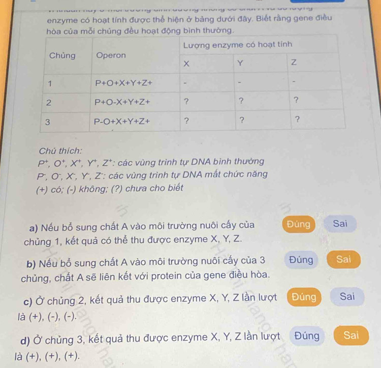 enzyme có hoạt tính được thể hiện ở bảng dưới đây. Biết rằng gene điều
hòa của mỗi chủng đều hoạt động bình thường.
Chú thích:
P^+,O^+,X^+,Y^+,Z^+ *: các vùng trình tự DNA bình thường
P^-,O^-, X , Y , Z : các vùng trình tự DNA mất chức năng
(+) có; (-) không; (?) chưa cho biết
a) Nếu bổ sung chất A vào môi trường nuôi cấy của Đúng Sai
chủng 1, kết quả có thể thu được enzyme X, Y, Z.
b) Nếu bổ sung chất A vào môi trường nuôi cấy của 3 Đúng Sai
chủng, chất A sẽ liên kết với protein của gene điều hòa.
c) Ở chủng 2, kết quả thu được enzyme X, Y, Z lần lượt Đúng Sai
là (+), (-), (-).
d) Ở chủng 3, kết quả thu được enzyme X, Y, Z lần lượt a Đúng Sai
là (+), (+), (+).