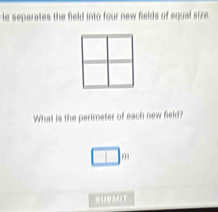 He separates the field into four new fields of equal size. 
What is the perimeter of each new field?
□°
SUBMIT