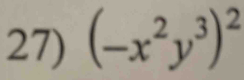 (-x^2y^3)^2