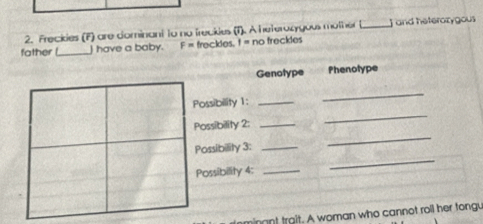 Freckies (F) are dominant to no freckles (1). A heterozygous mother (._ and heterozygous 
father [_ J have a baby. F= freckles. 1= no treckles 
Genotype Phenotype 
Possibility 1:_ 
_ 
_ 
Possibility 2:_ 
_ 
Possibility 3:_ 
Possibility 4:_ 
_ 
minant troit. A woman who cannot roil her tongu