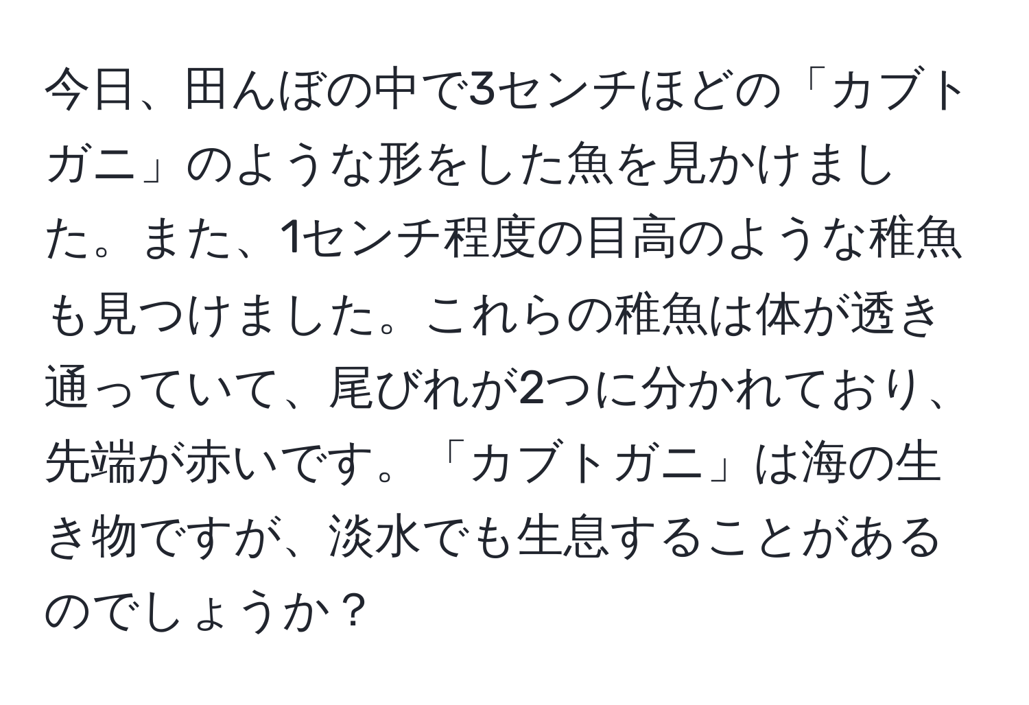 今日、田んぼの中で3センチほどの「カブトガニ」のような形をした魚を見かけました。また、1センチ程度の目高のような稚魚も見つけました。これらの稚魚は体が透き通っていて、尾びれが2つに分かれており、先端が赤いです。「カブトガニ」は海の生き物ですが、淡水でも生息することがあるのでしょうか？