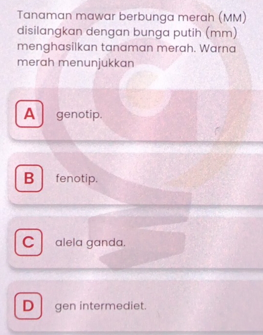 Tanaman mawar berbunga merah (MM)
disilangkan dengan bunga putih (mm)
menghasilkan tanaman merah. Warna
merah menunjukkan
A genotip.
B fenotip.
C alela ganda.
D gen intermediet.