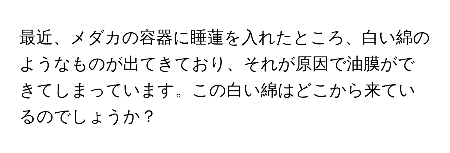 最近、メダカの容器に睡蓮を入れたところ、白い綿のようなものが出てきており、それが原因で油膜ができてしまっています。この白い綿はどこから来ているのでしょうか？