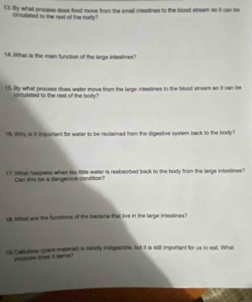 By what process does food move from the small intestines to the blood stream so it can be 
circulated to the rest of the body? 
14. What is the main function of the large intestines? 
15. By what process does water move from the large intestines to the blood stream so it can be 
circulated to the rest of the body? 
16 Why is it important for water to be reclaimed from the digestive system back to the body? 
17. What happens when too little water is reabsorbed back to the body from the large intestines? 
Can this be a dangerous condition? 
18. What are the functions of the bacteria that live in the large intestines? 
19. Cailulose (piant material) is mostly indigestible, but it is still important for us to eat. What 
purpose does it serve?