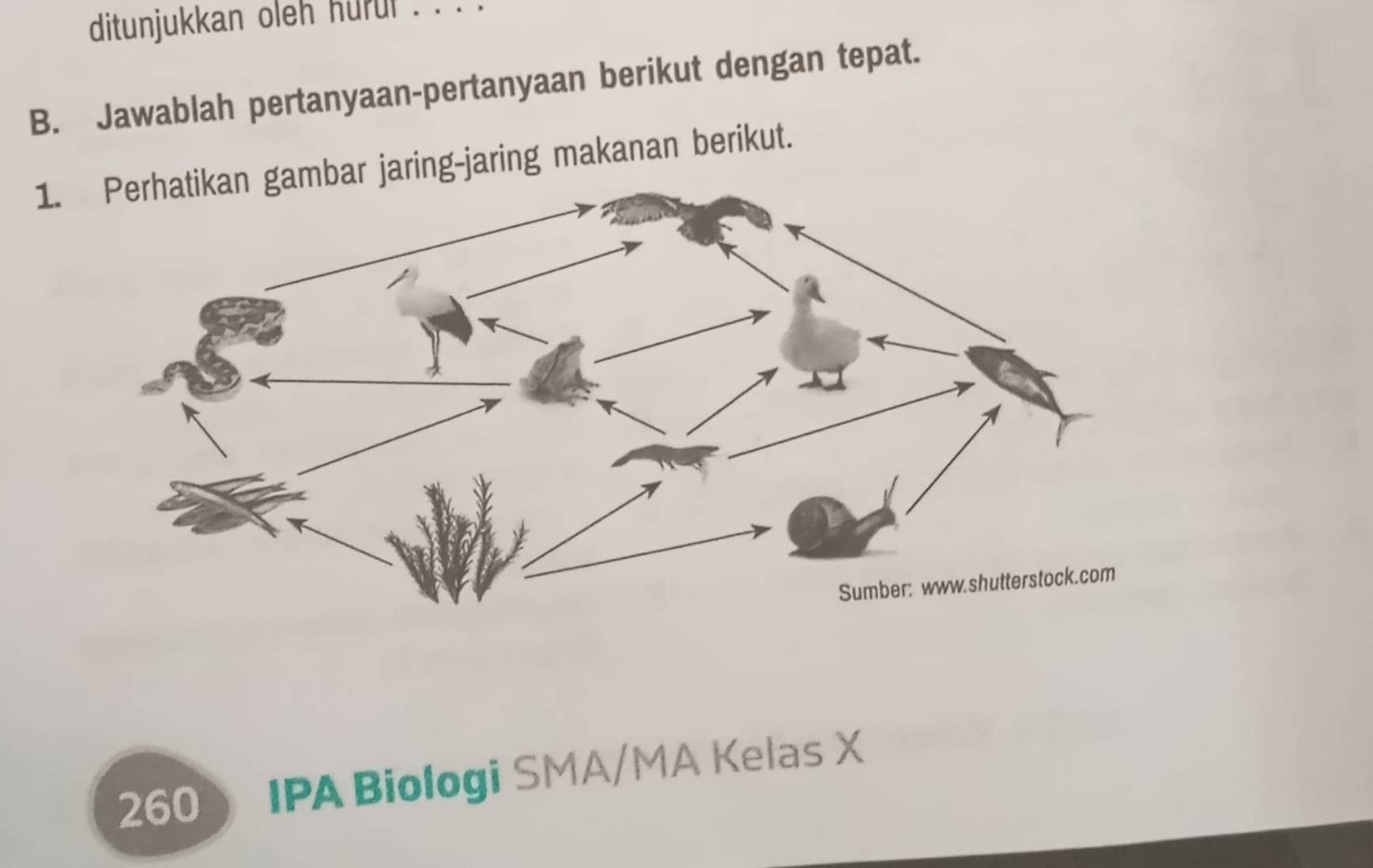 ditunjukkan oleh hurur . . . . 
B. Jawablah pertanyaan-pertanyaan berikut dengan tepat. 
1.ar jaring-jaring makanan berikut. 
260  IPA Biologi SMA/MA Kelas X