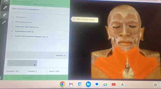 PSPE EETURES / TYPE : MULTIFLE CHCICE 
What stnucture is highfighted?
A. Flarysma m. Cick "A" as the answer
Oetocularta oml =
C. Depressor tabs interionis m
() Zygomaticus minor m.
E Levator fabá supevioris alaeque nasí m.
Attempt: 1/1
Question: 3/4 Conrect: 1 Score: 25%
Acvity 6/7