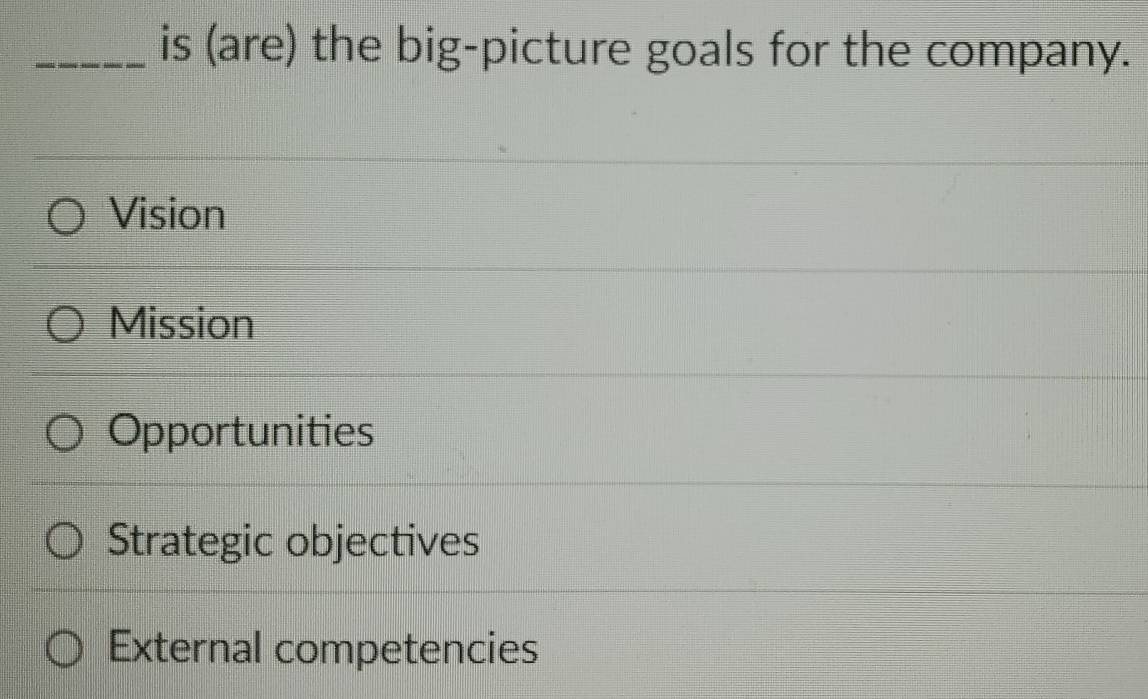 is (are) the big-picture goals for the company.
Vision
Mission
Opportunities
Strategic objectives
External competencies