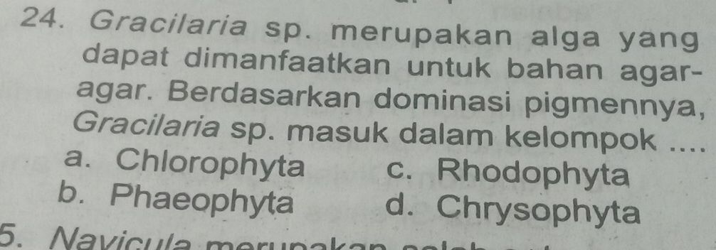 Gracilaria sp. merupakan alga yang
dapat dimanfaatkan untuk bahan agar-
agar. Berdasarkan dominasi pigmennya,
Gracilaria sp. masuk dalam kelompok ....
a. Chlorophyta c. Rhodophyta
b. Phaeophyta d. Chrysophyta
5. Navicula meru