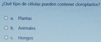 ¿Qué tipo de células pueden contener cloroplastos?
a. Plantas
b. Animales
c. Hongos